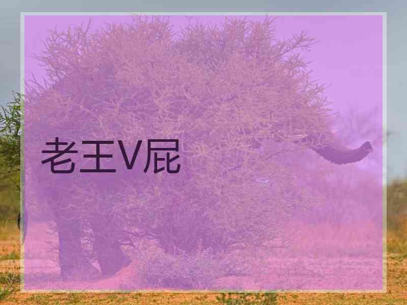 老王V屁