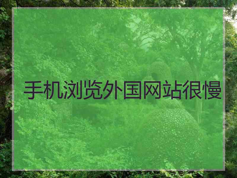 手机浏览外国网站很慢