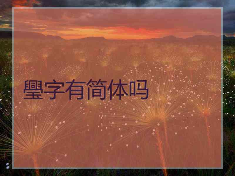 璺字有简体吗