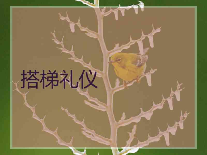 搭梯礼仪