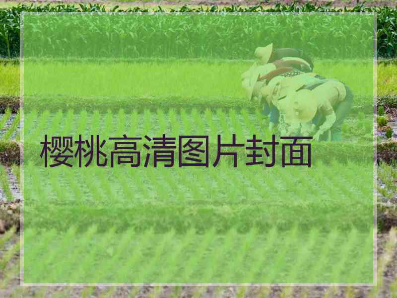 樱桃高清图片封面