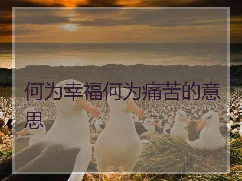 何为幸福何为痛苦的意思