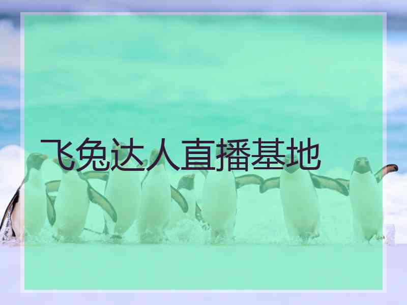 飞兔达人直播基地