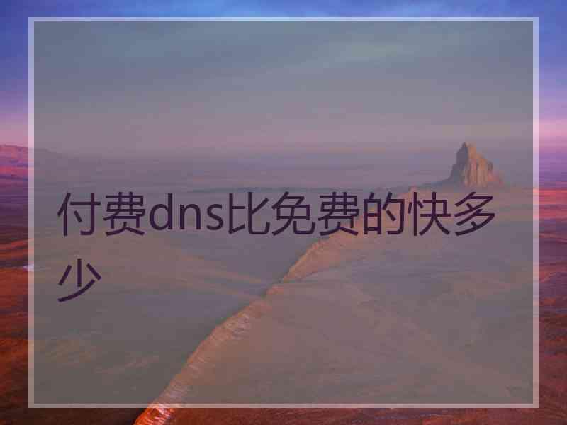 付费dns比免费的快多少