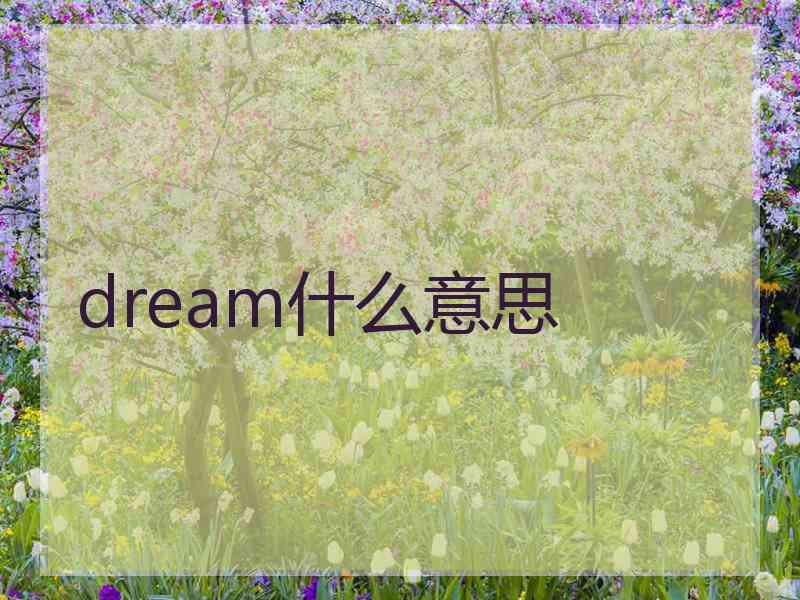 dream什么意思