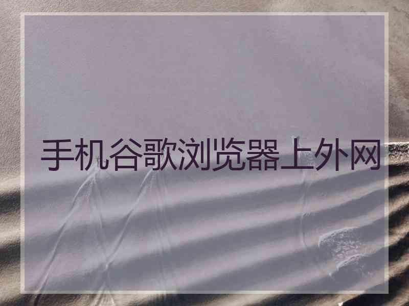 手机谷歌浏览器上外网