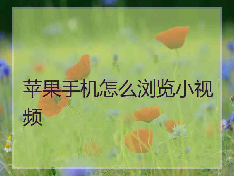 苹果手机怎么浏览小视频
