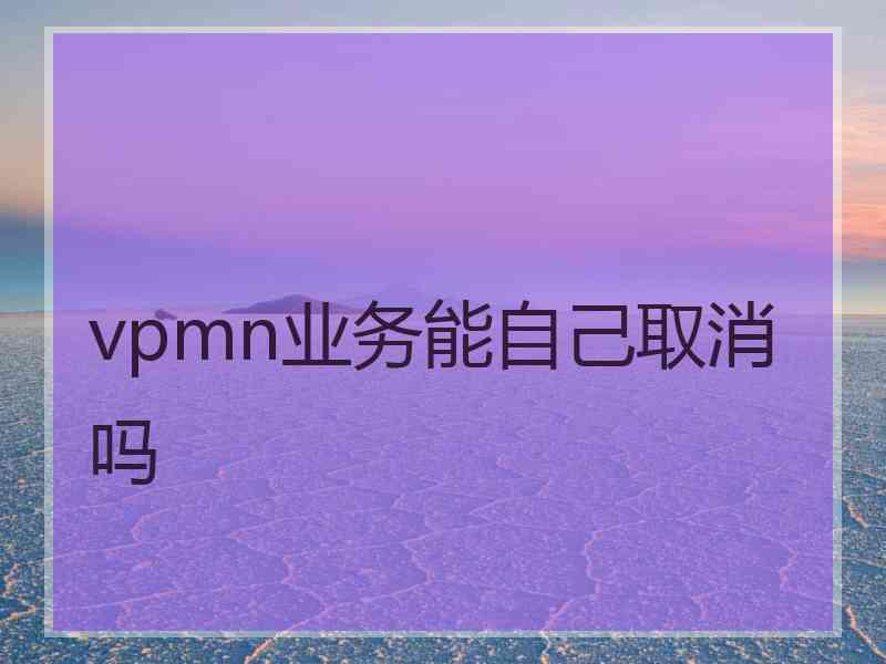 vpmn业务能自己取消吗