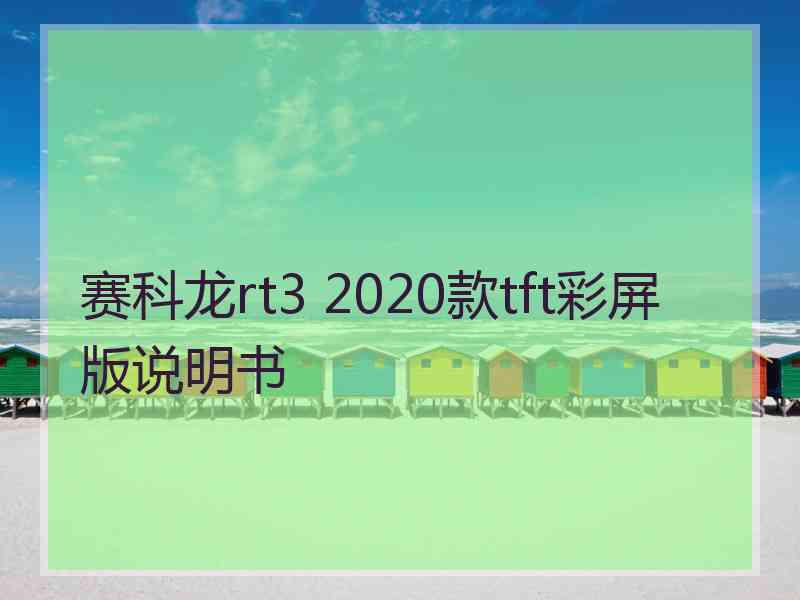 赛科龙rt3 2020款tft彩屏版说明书