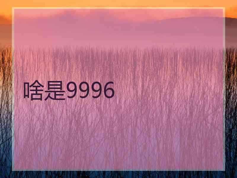 啥是9996