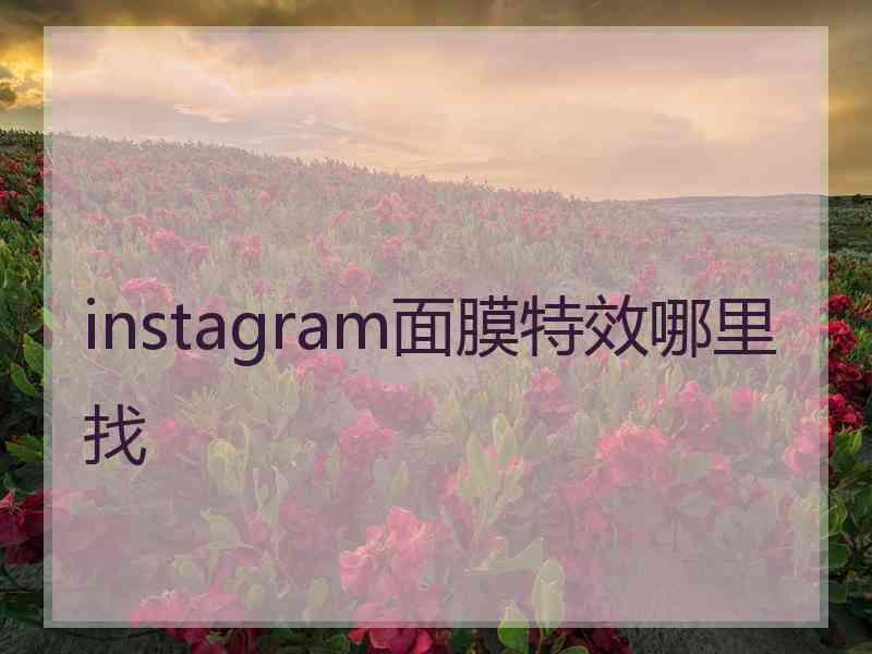 instagram面膜特效哪里找
