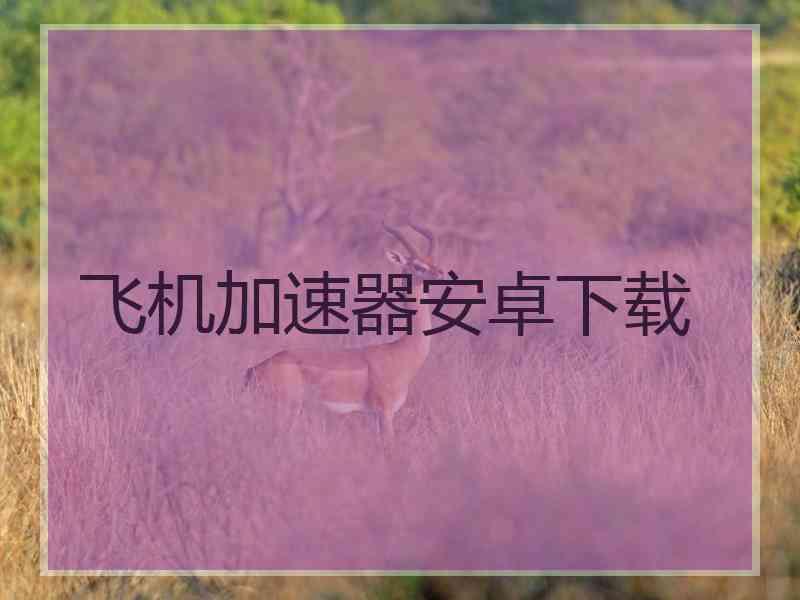 飞机加速器安卓下载