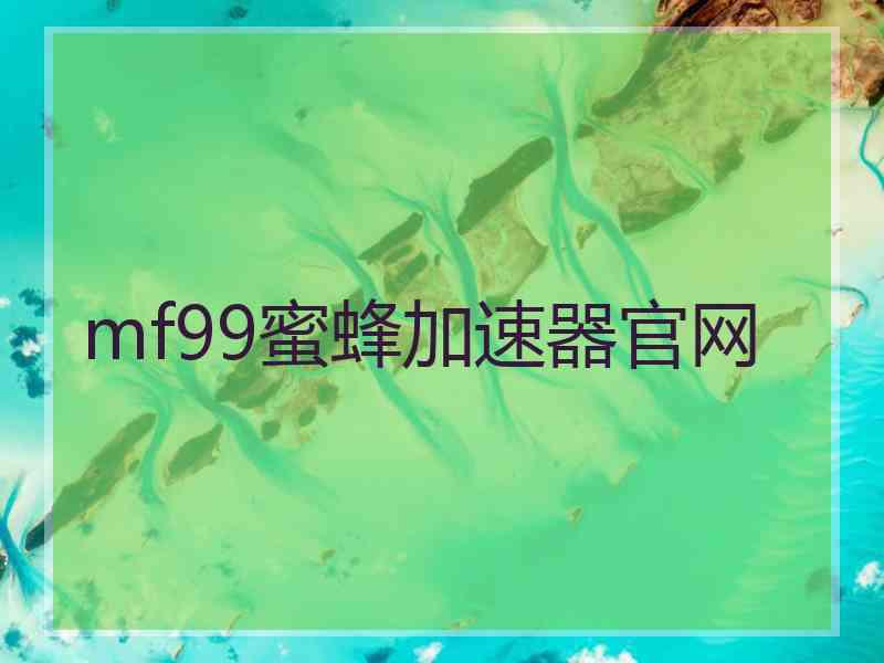 mf99蜜蜂加速器官网