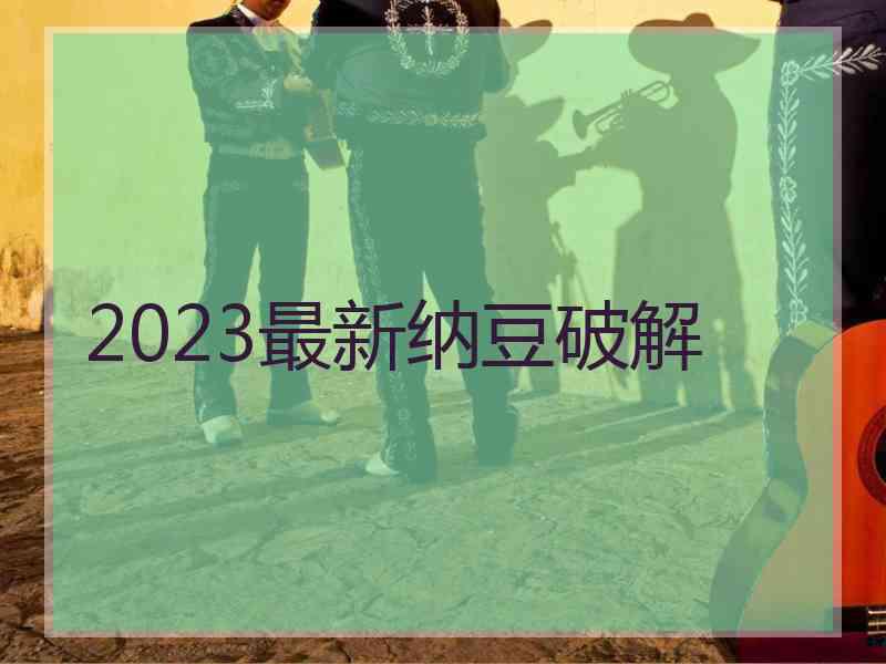 2023最新纳豆破解