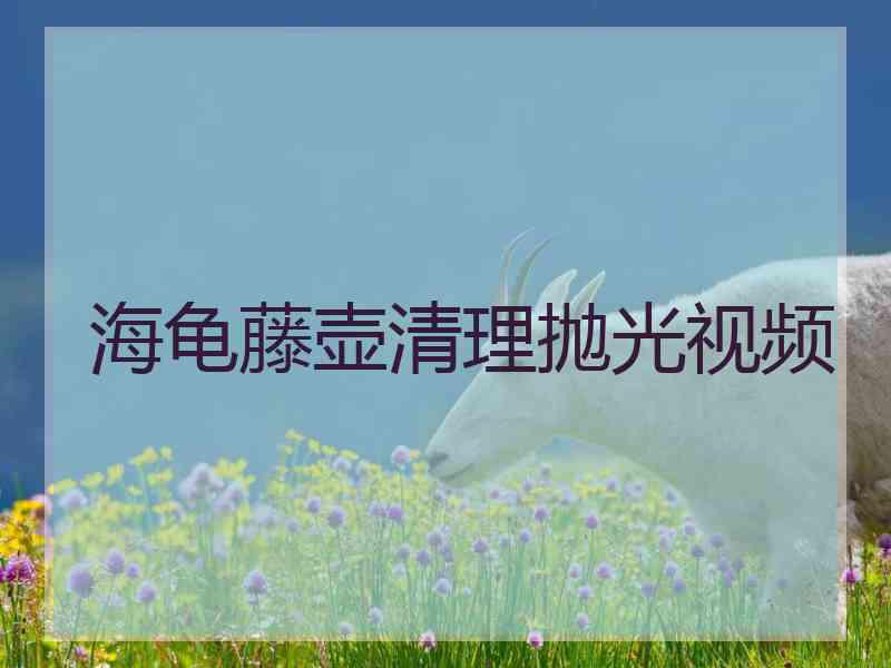 海龟藤壶清理抛光视频