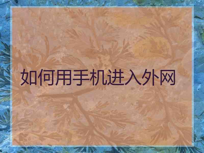 如何用手机进入外网
