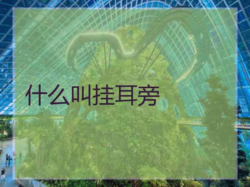 什么叫挂耳旁