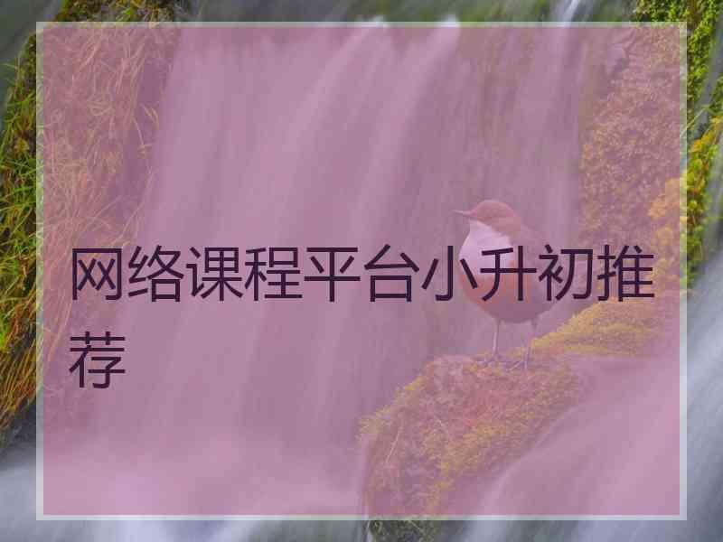 网络课程平台小升初推荐