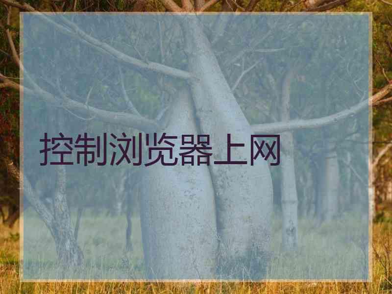 控制浏览器上网