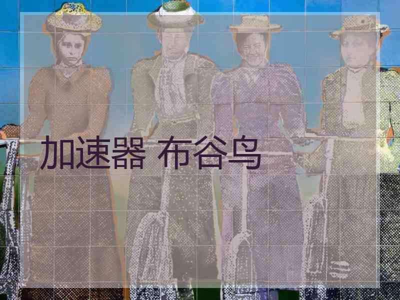 加速器 布谷鸟
