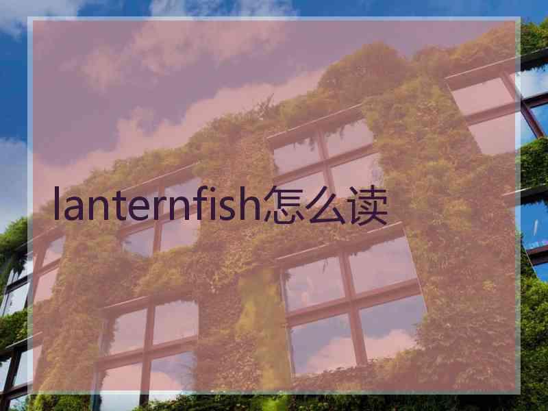 lanternfish怎么读
