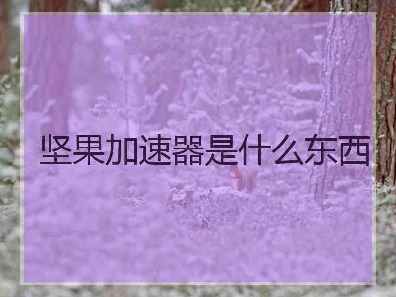 坚果加速器是什么东西