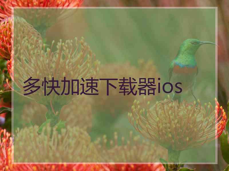 多快加速下载器ios