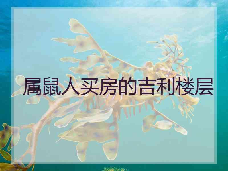属鼠人买房的吉利楼层
