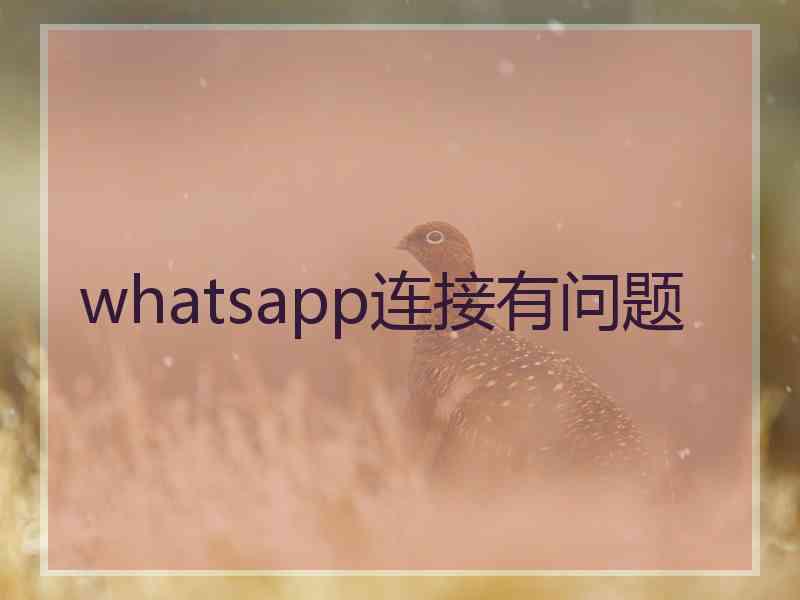whatsapp连接有问题