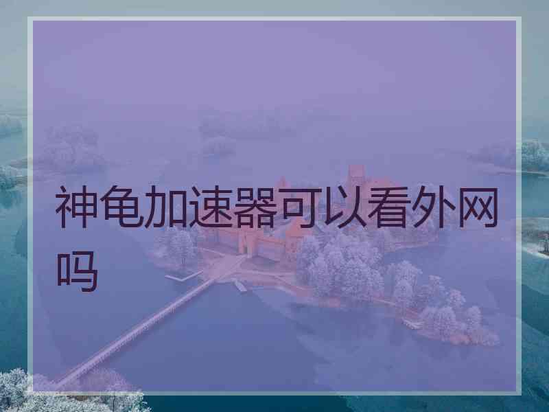 神龟加速器可以看外网吗