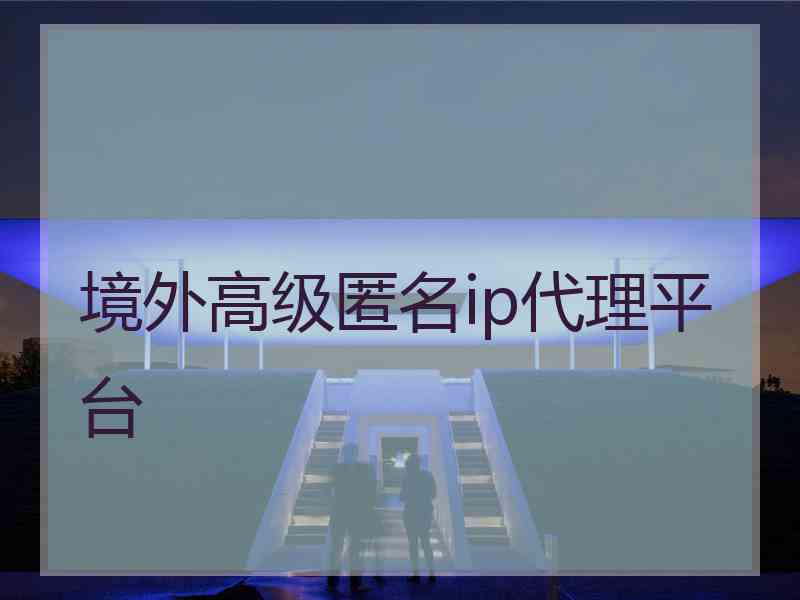 境外高级匿名ip代理平台