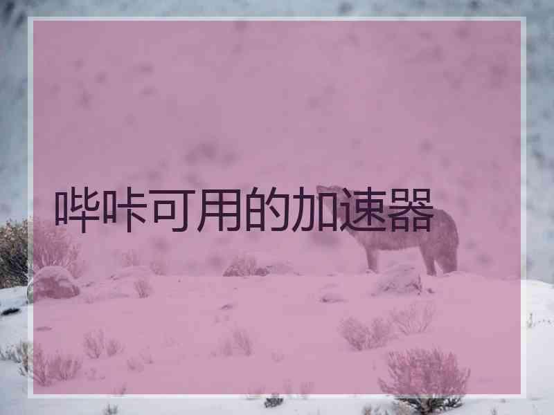哔咔可用的加速器