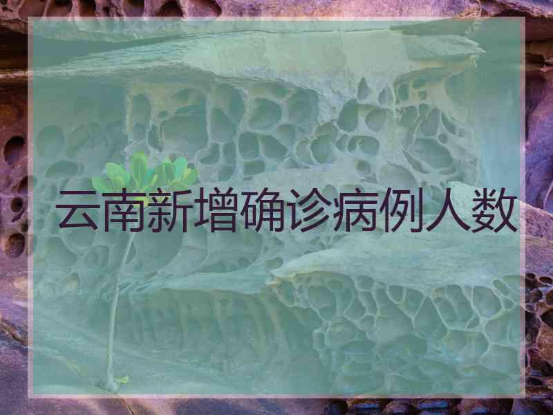 云南新增确诊病例人数
