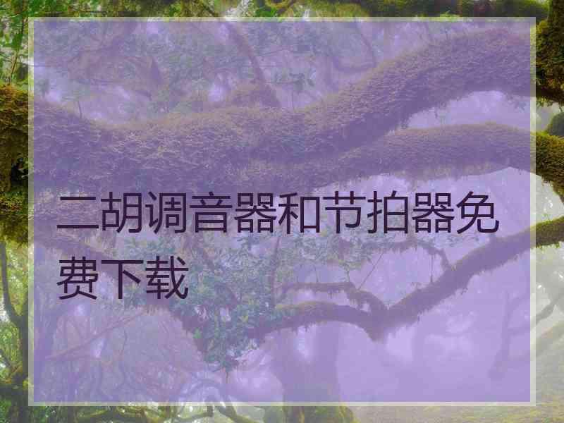二胡调音器和节拍器免费下载