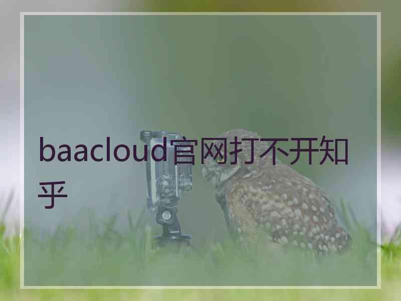 baacloud官网打不开知乎