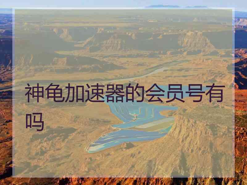神龟加速器的会员号有吗