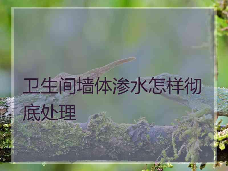 卫生间墙体渗水怎样彻底处理