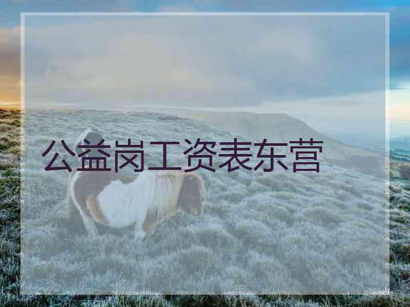 公益岗工资表东营