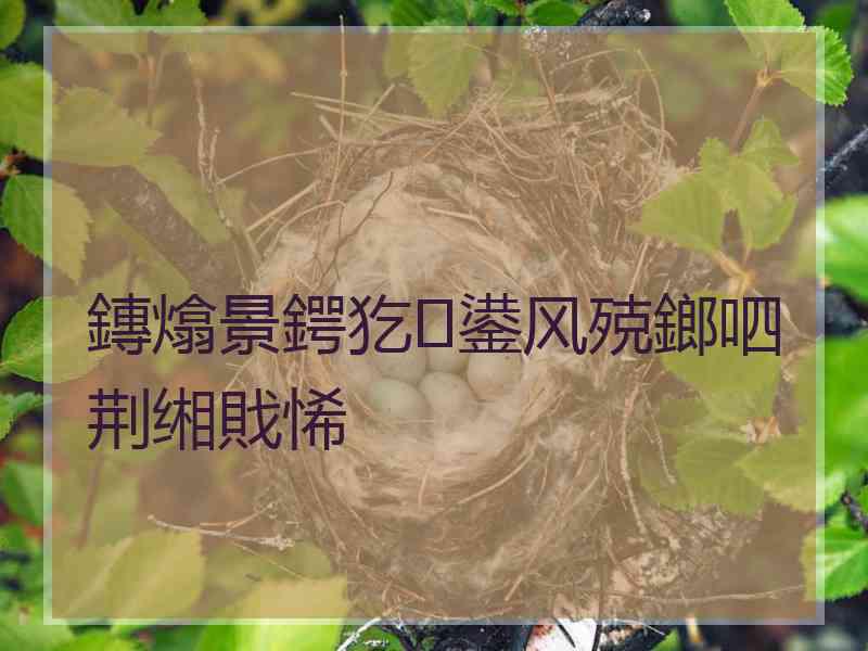鏄熻景鍔犵鍙风殑鎯呬荆缃戝悕