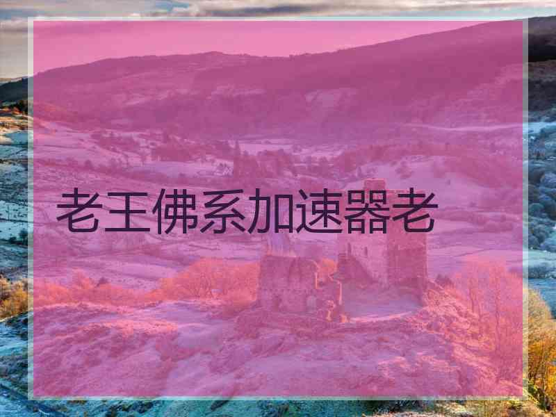 老王佛系加速器老