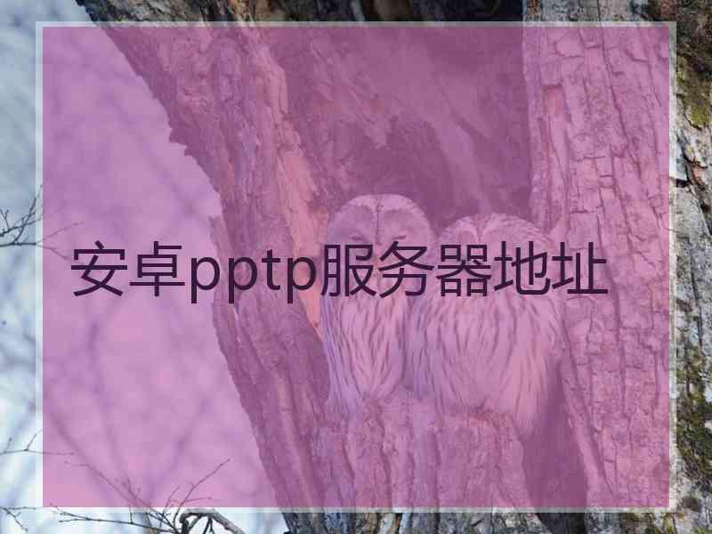 安卓pptp服务器地址