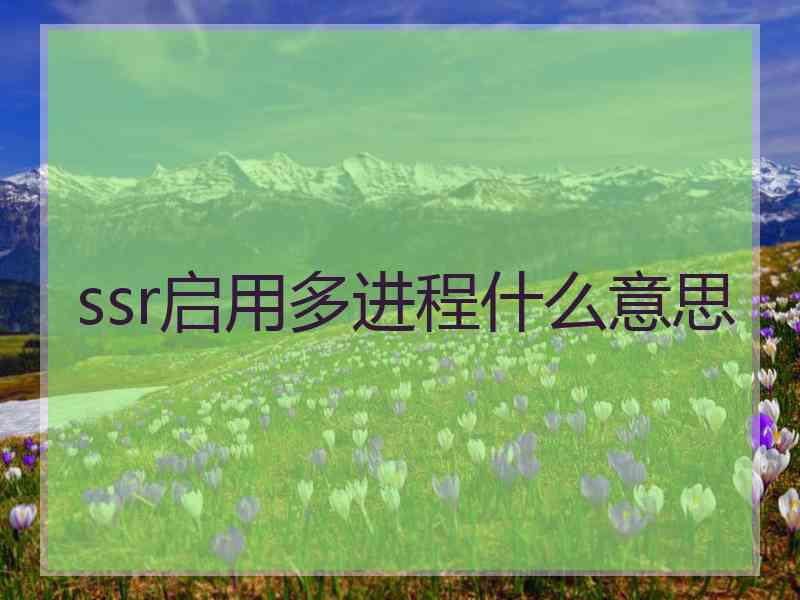 ssr启用多进程什么意思