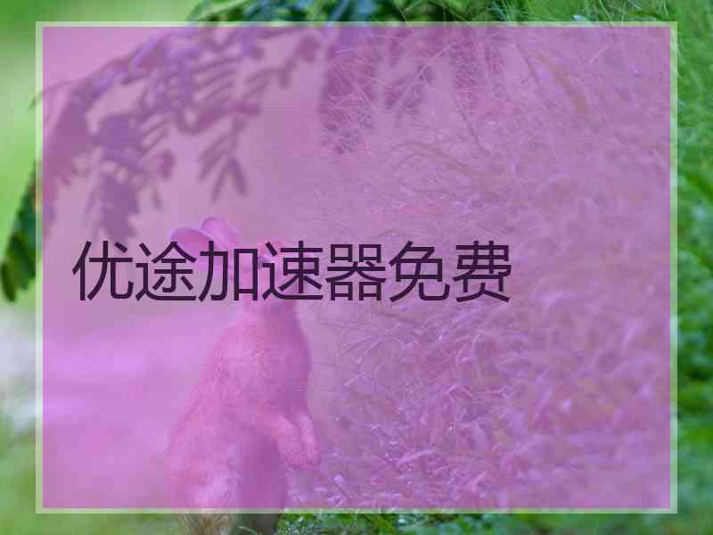 优途加速器免费