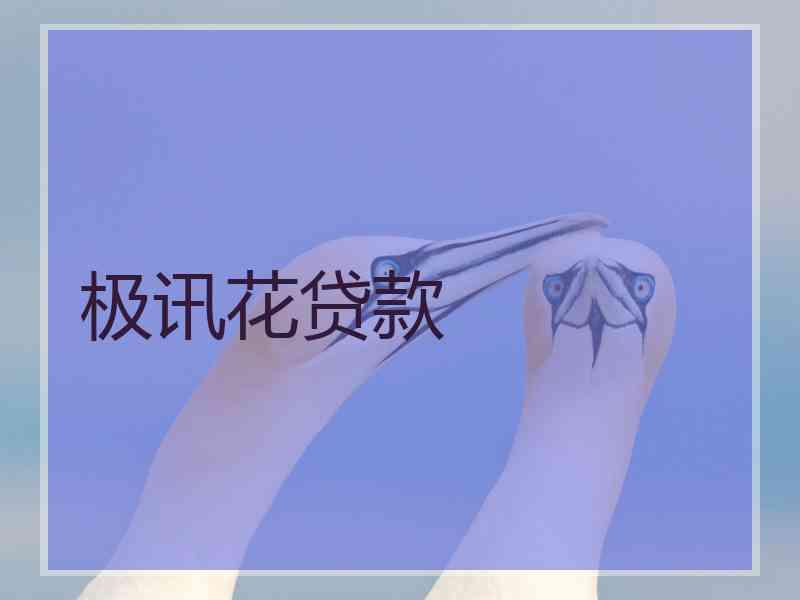 极讯花贷款