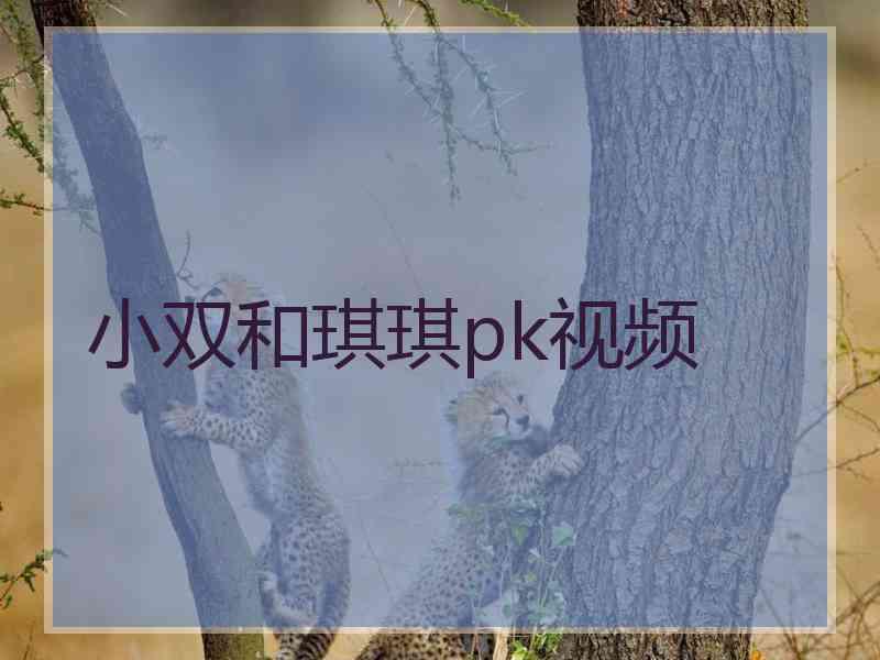 小双和琪琪pk视频