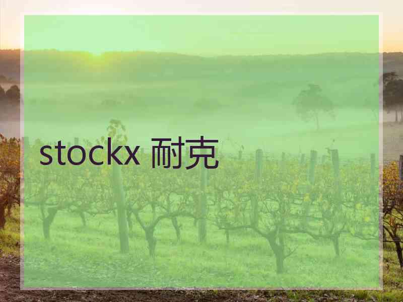 stockx 耐克