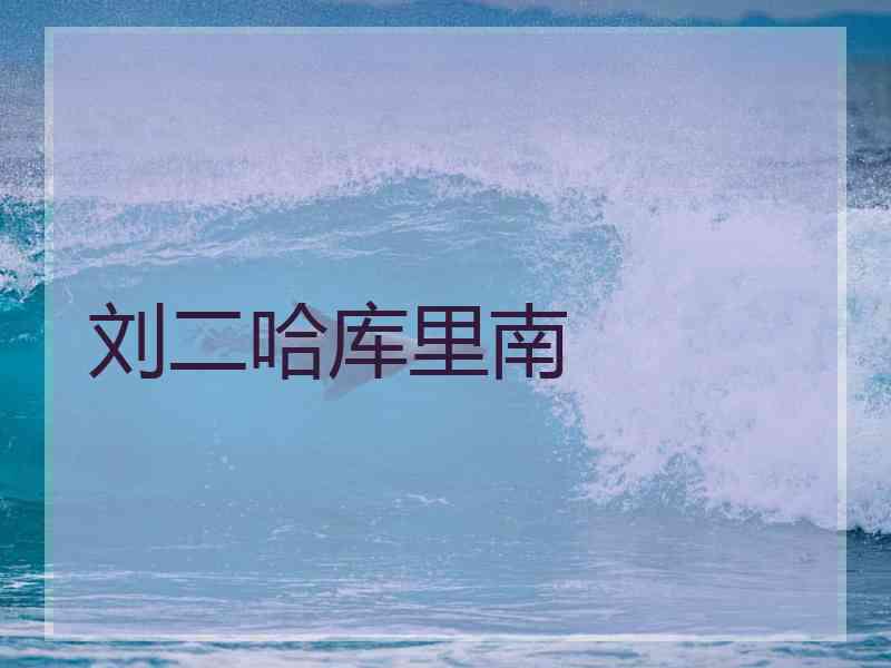 刘二哈库里南