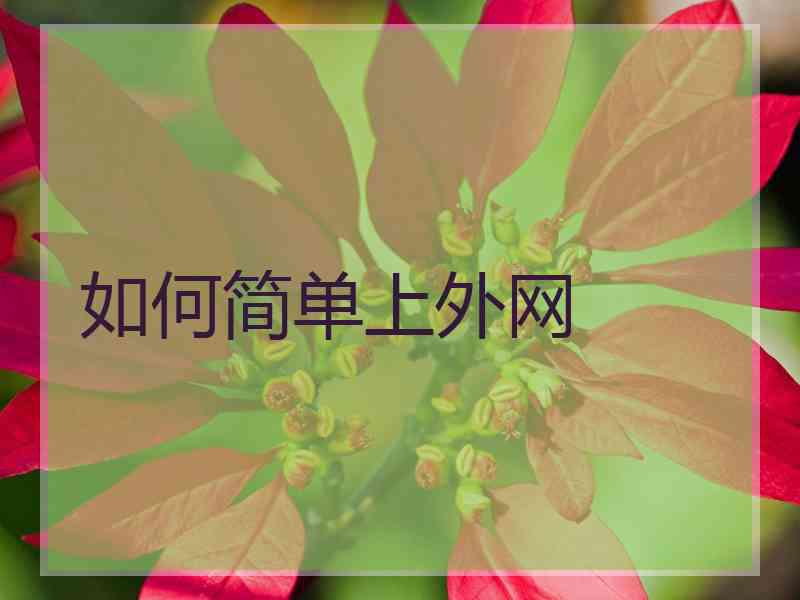 如何简单上外网