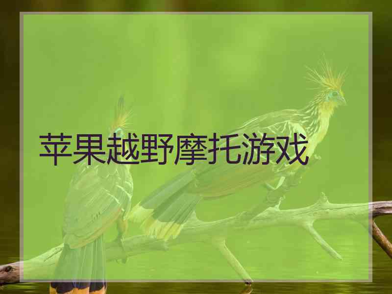 苹果越野摩托游戏