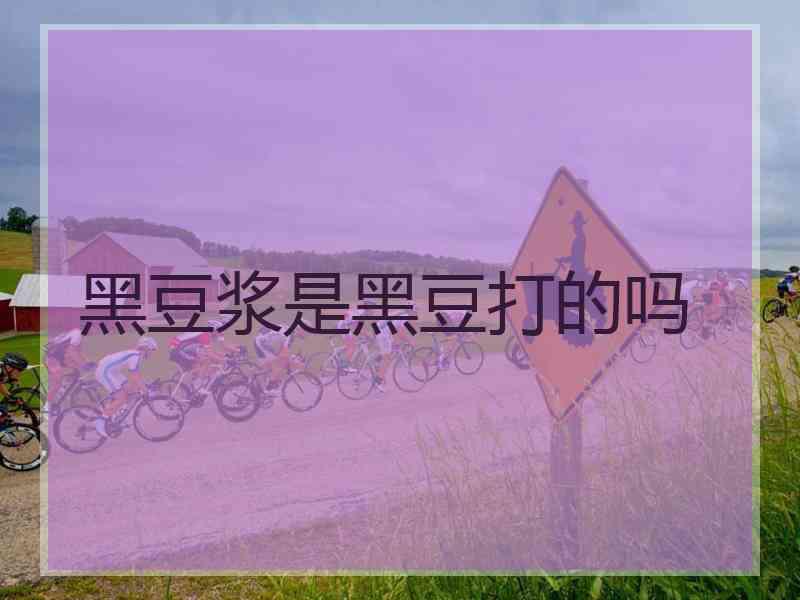 黑豆浆是黑豆打的吗